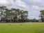 0 State Highway 53, South Featherston, Featherston - Carousel 10