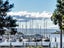 203C/14 West Quay, Ahuriri, Napier - Carousel 11