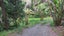 0 Whatuwhiwhi Road, Karikari Peninsula - Carousel 14