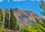 61 Kelliher Drive, Wanaka - Carousel 19