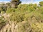 100 Glanmire Road, Newlands, Wellington - Carousel 3