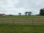 41 Totara Park Road, Foxton, Foxton - Carousel 3