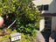 29H St Stephens Avenue, Parnell, Auckland - Carousel 17