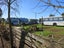 17 Davey Road, Milford - Carousel 3