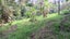 0 Whatuwhiwhi Road, Karikari Peninsula - Carousel 18