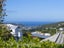 24 Fortunatus Street, Brooklyn, Wellington - Carousel 14