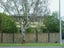 442 Albert Street, Hokowhitu, Palmerston North - Carousel 1