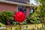 53 Wingate Street, Redwood, Christchurch - Carousel 20