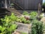 150A Coates Avenue, Orakei, Auckland - Carousel 37