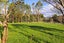 289 Waitao Road, Waitao, Tauranga - Carousel 4