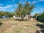 53 Dillons Point Road, Islington, Blenheim - Carousel 19