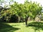 6 Christian Street, Bryndwr, Christchurch - Carousel 7