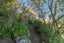 80 Cannon Hill Crescent, Mount Pleasant, Christchurch - Carousel 34
