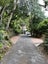 7A Tinopai Road, Titirangi, Auckland - Carousel 18