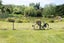 273 Wilkins Road, Tinwald, Ashburton - Carousel 39