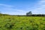 2175 Egmont Road, KAIMIRO - Carousel 17