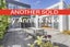79 Ludlam Street, Seatoun, Wellington - Carousel 1