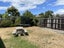 302 Clyde Road, Bryndwr, Christchurch - Carousel 5