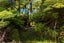 0 Whatanihi Pelorus, Whatanihi Bay, Havelock - Carousel 29