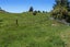 414 Matahi Road, Rotomā, Whakatāne - Carousel 36