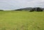 619 Pinfold Road, Papatawa, Woodville - Carousel 4