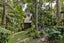 119 Daffodil Street, Titirangi, Auckland - Carousel 24