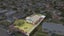 6 Amuri Street, Hei Hei, Christchurch City, Canterbury - Carousel 1