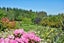 36 Nicholson Road, Upper Charlton, Gore - Carousel 33