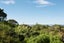 1 Montecillo Lane, Mornington, Dunedin - Carousel 17