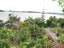 78E Greenslade Road, Raglan, Raglan - Carousel 20