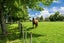 718 Oruanui Road, Taupo - Carousel 3