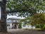 508 Winchester-Geraldine Road, Geraldine Flat, Geraldine - Carousel 25
