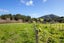 303 Gibbons Road, Kaiwaka, Kaiwaka - Carousel 20