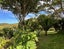 125C Sailors Grave Road, Pumpkin Hill, Whitianga - Carousel 33