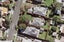 16 Ferryhill Road, Epsom, Auckland - Carousel 6