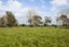 6356 State Highway 2, Netherton, Paeroa - Carousel 35