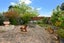 1/8 Putney Place, Ranui, Auckland - Carousel 10