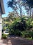55 Sylvan Valley Avenue, Titirangi, Auckland - Carousel 20
