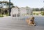 51 Pigeon Berry Lane, Kaiwaka - Carousel 23