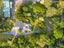 145 Bidwills Cutting Road, Morison Bush, Greytown - Carousel 46