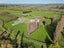 2615 State Highway 63, Blenheim - Carousel 23