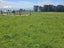 38 Taieri Beach Road, TAIERI BEACH, TAIERI MOUTH - Carousel 10
