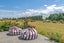 541 Stoney Creek Road, Kelvin Grove, Palmerston North - Carousel 23