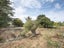 10 Ngareta Street, Marton - Carousel 19