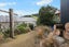 11 Haywards Lane, Duvauchelle, Duvauchelle - Carousel 18