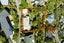 97 Richmond Hill Road, Richmond Hill, Christchurch - Carousel 32