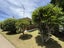 1/28 Matai Road, Greenlane, Auckland - Carousel 1
