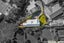 48B Seaview Rd, Glenfield, Auckland - Carousel 33