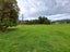 92 Gladstone Street, Seddonville, Westport - Carousel 15