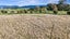 0 Nees Rd, Takaka, Takaka - Carousel 8